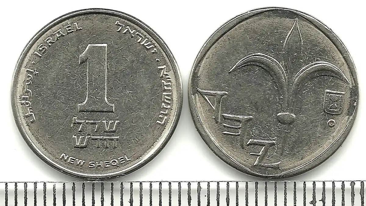 כמה עולה חשפנית? שבעה דברים שקובעים את המחיר